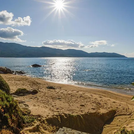 Beautiful In With Kitchen Sagone (Corsica)