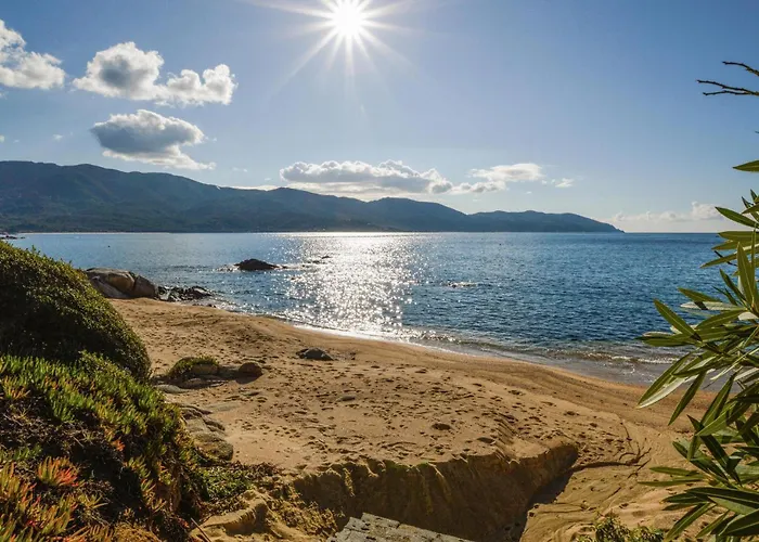 Beautiful In With Kitchen Sagone (Corsica)